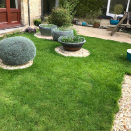 Techniques de taille pour maintenir un jardin esthétique et en bonne santé Clichy-sous-Bois